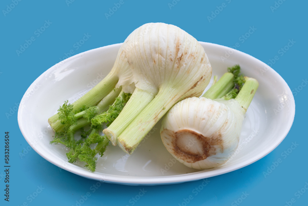 Fresh fennel bulb on blue background Fresh fennel bulb on blue background