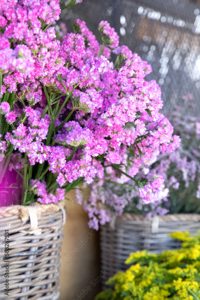 Pink limonium sinuatum or statice salem flowers fresh cut at the greek garden shop in spring.