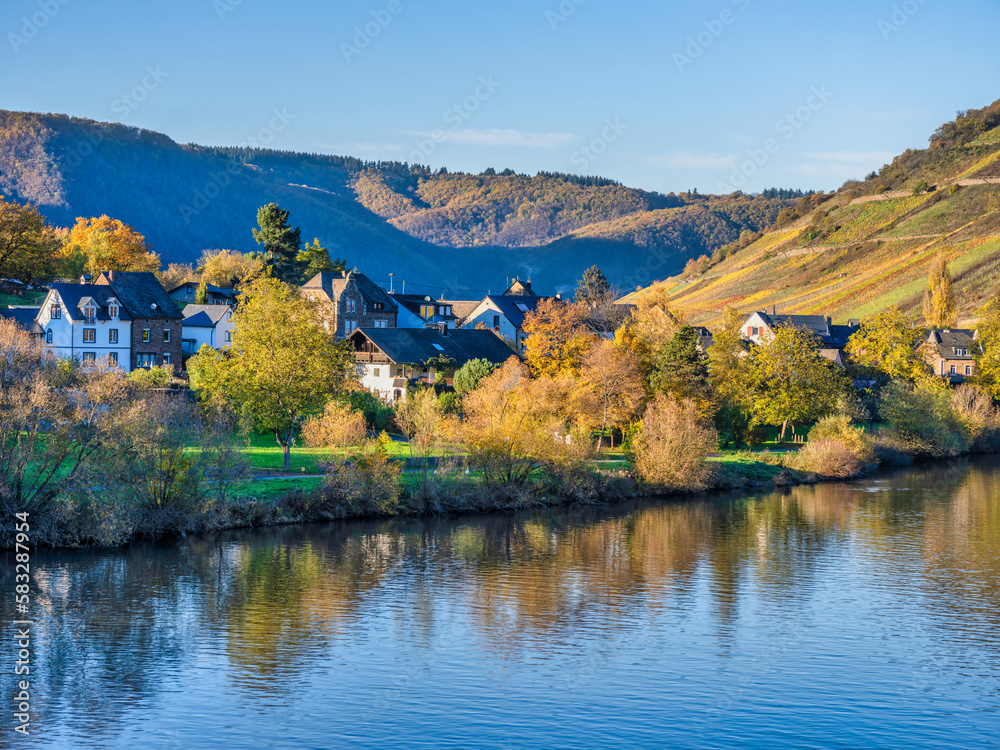 Senhals village and steep vineyards during a beautiful autumn afternoon in Cochem-Zell, Germany