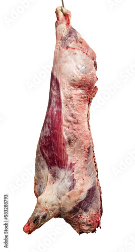 Cuadro en lienzo beef carcass in a butchery