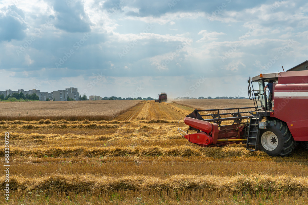 Obraz premium A combine harvester is working in a wheat field. Seasonal wheat harvest. Agricultural industry. Cleaning and harvesting of silage. The process of harvesting from the fields. equipment in the field.