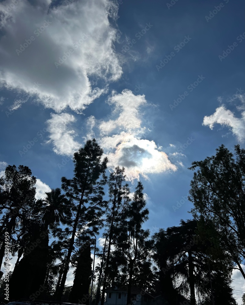 Fototapeta premium clouds in the sky