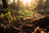 From Seed to Sprout - Young Plant Basking in Sunlight - Generative Ai