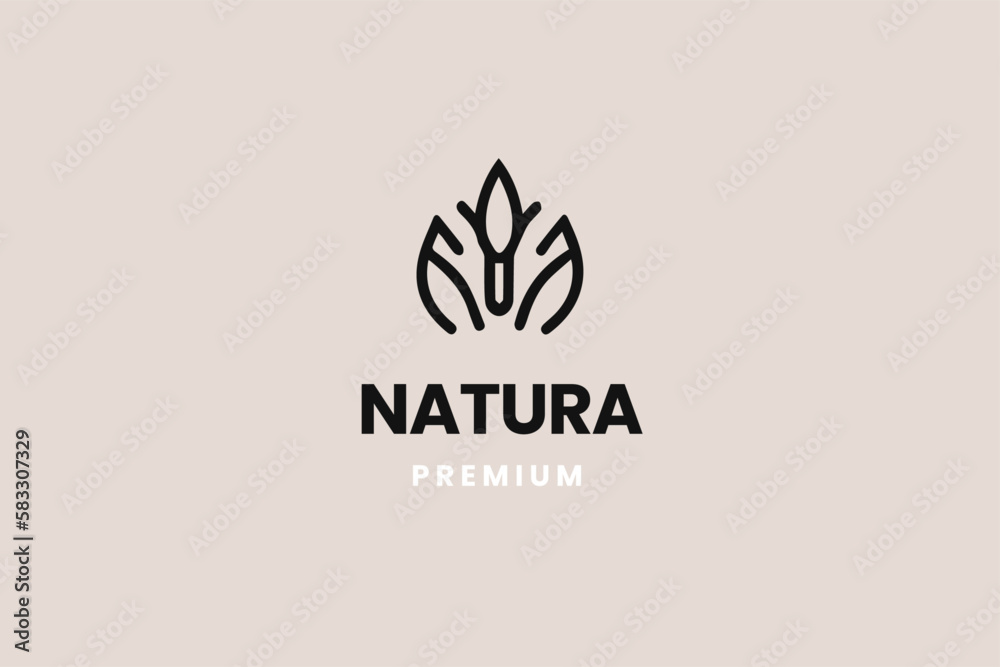 nature logo, eco brand, organic logotype