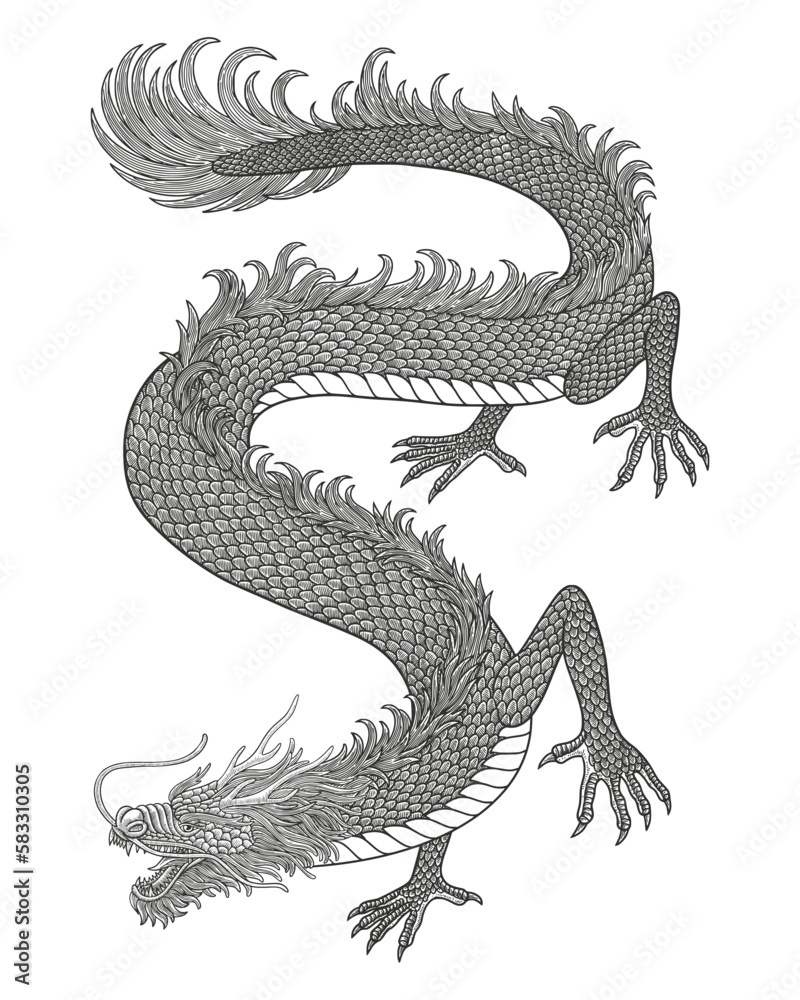 Japanese dragon drawing