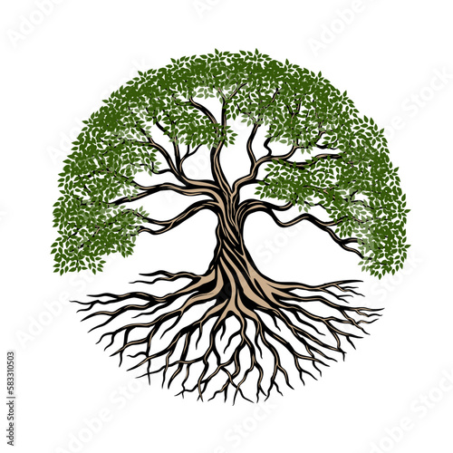 tree root illustration vector design with circle shape