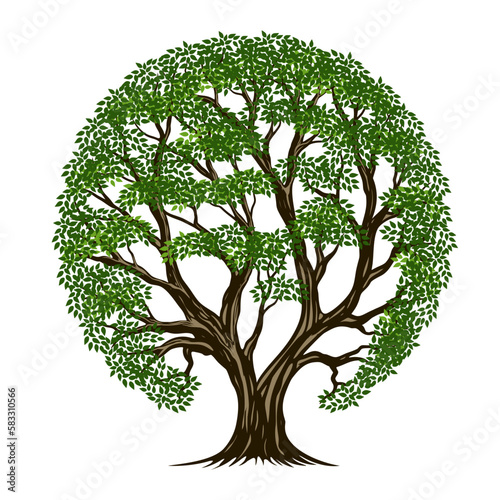 tree root illustration vector design with circle shape