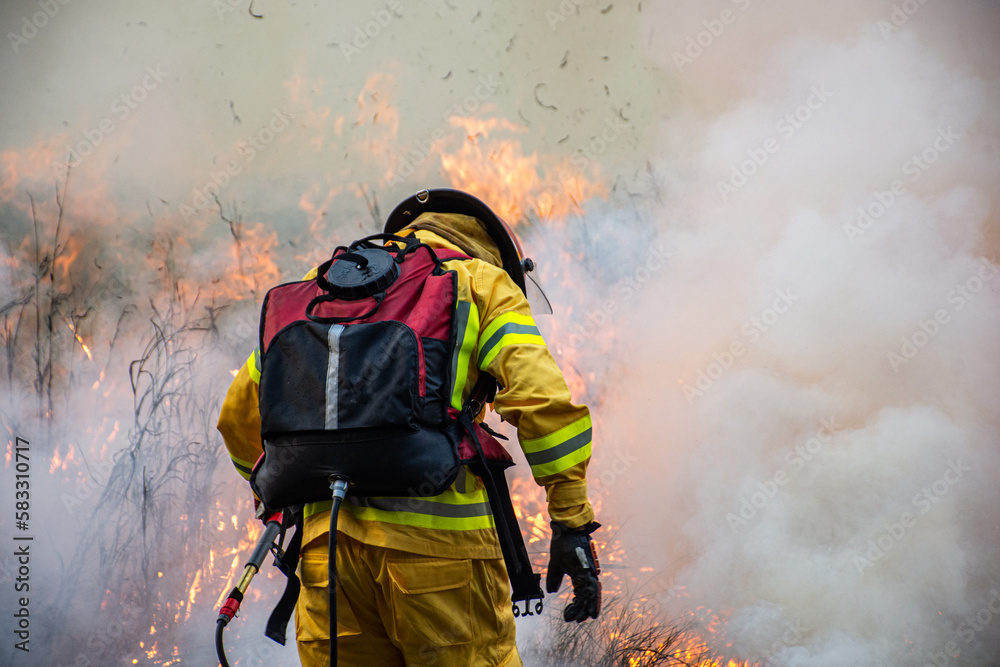 Naklejka premium firefighter in action