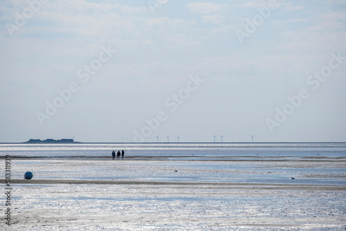Wadden Sea.Silhouettes of people on the beach.Fer Island.Frisian Islands of Germany. walking on watt dunes.Walks along the sandy bottom of the wattled North Sea of Germany.vacation at sea.