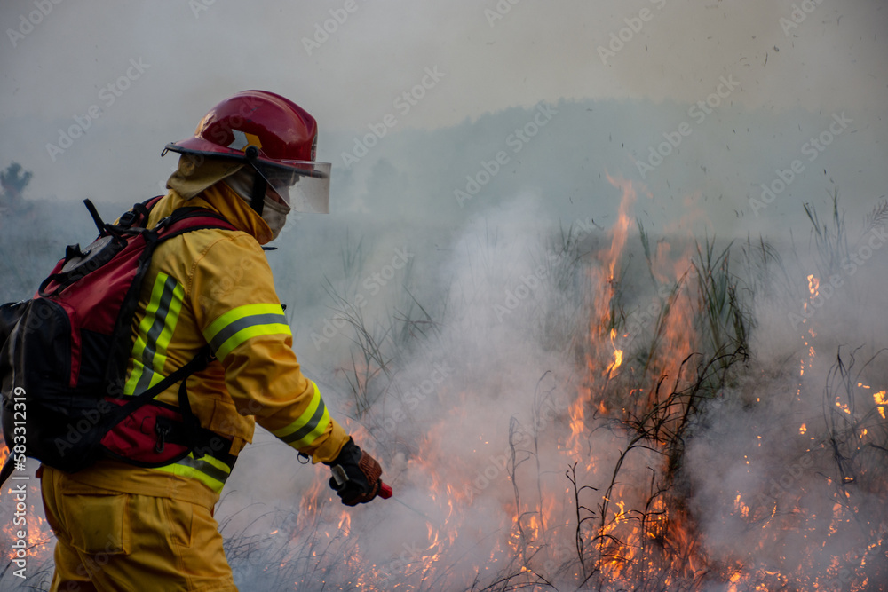 Naklejka premium firefighter in action