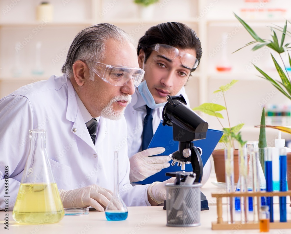 Two chemists working in the lab Two chemists working in the lab