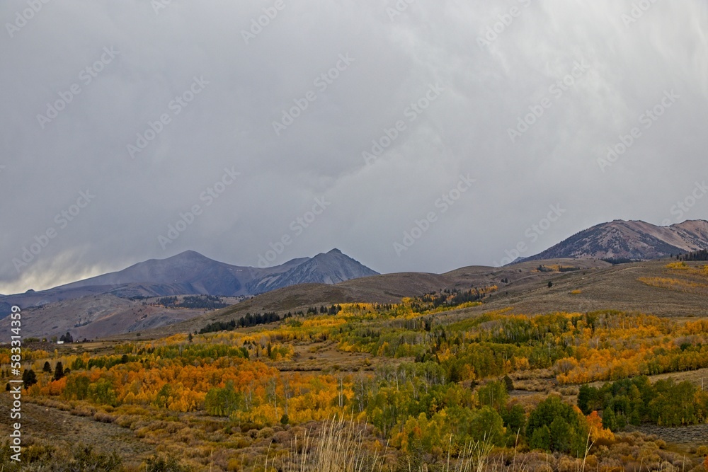 Fototapeta premium Fall colors begin to display in the Eastern Sierra region of California.