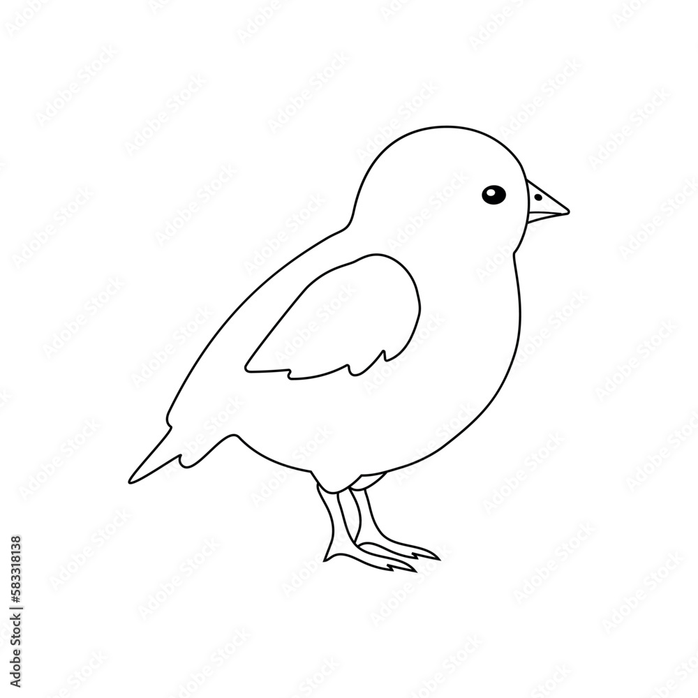 Vector flat hand drawn outline chicken chick isolated on white background Vector flat hand drawn outline chicken chick isolated on white background