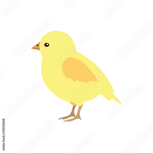 Vector flat hand drawn chicken chick isolated on white background