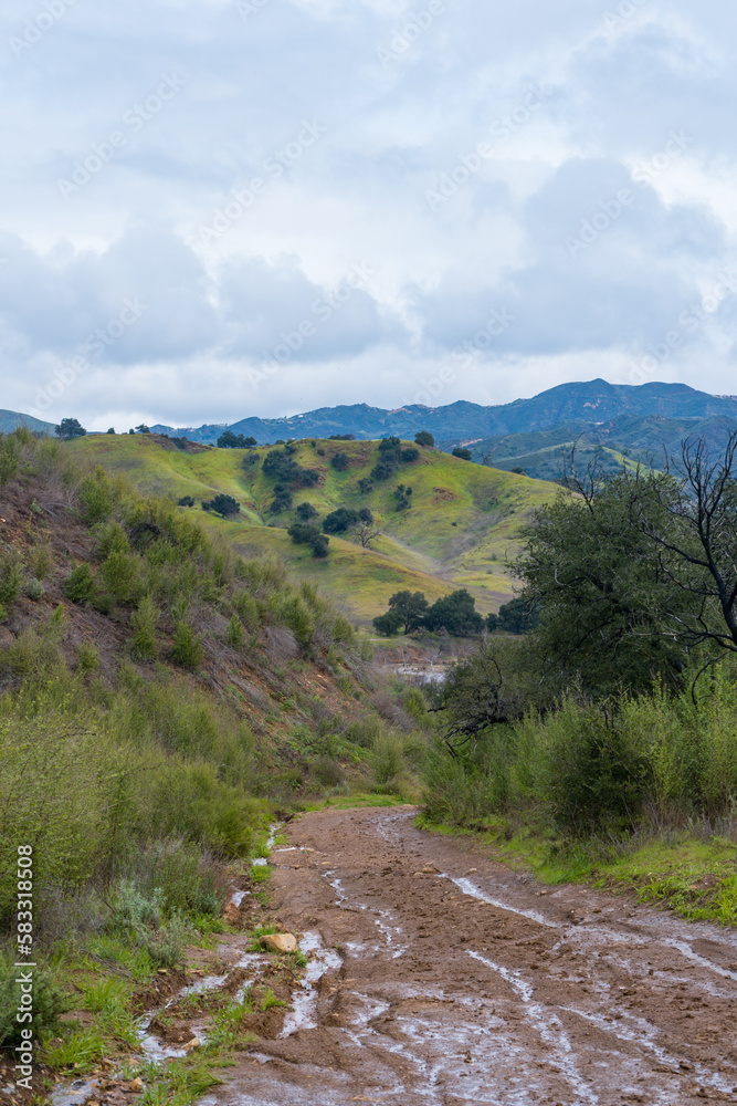 Fototapeta premium Malibu Creek State Park muddy after a large rainfall in southern California. Streams overflowing, lush green grass, large oak trees, clouds, dam rushing, water flowing.
