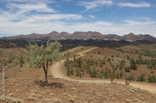 desert road in australia