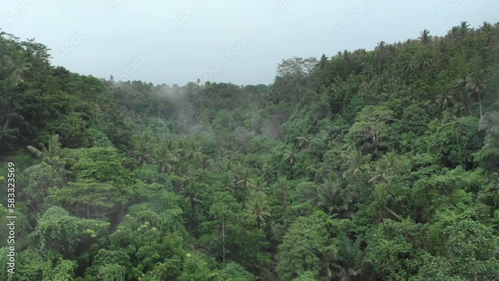 Aerial glide through the dense rainforest of Ubud Aerial glide through the dense rainforest of Ubud