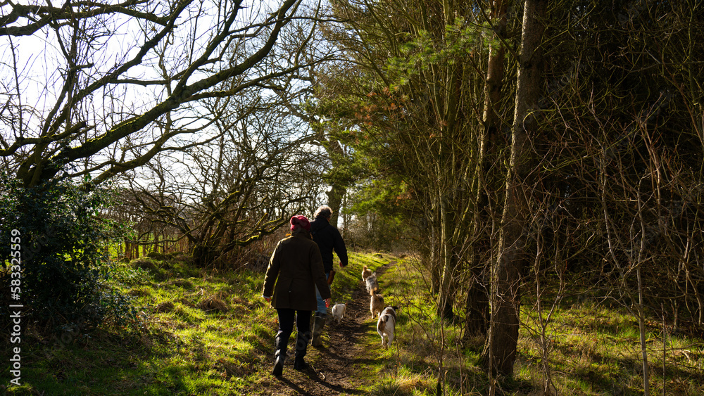 couple hiking. Romantic couple with their dog walking in nature couple hiking. Romantic couple with their dog walking in nature