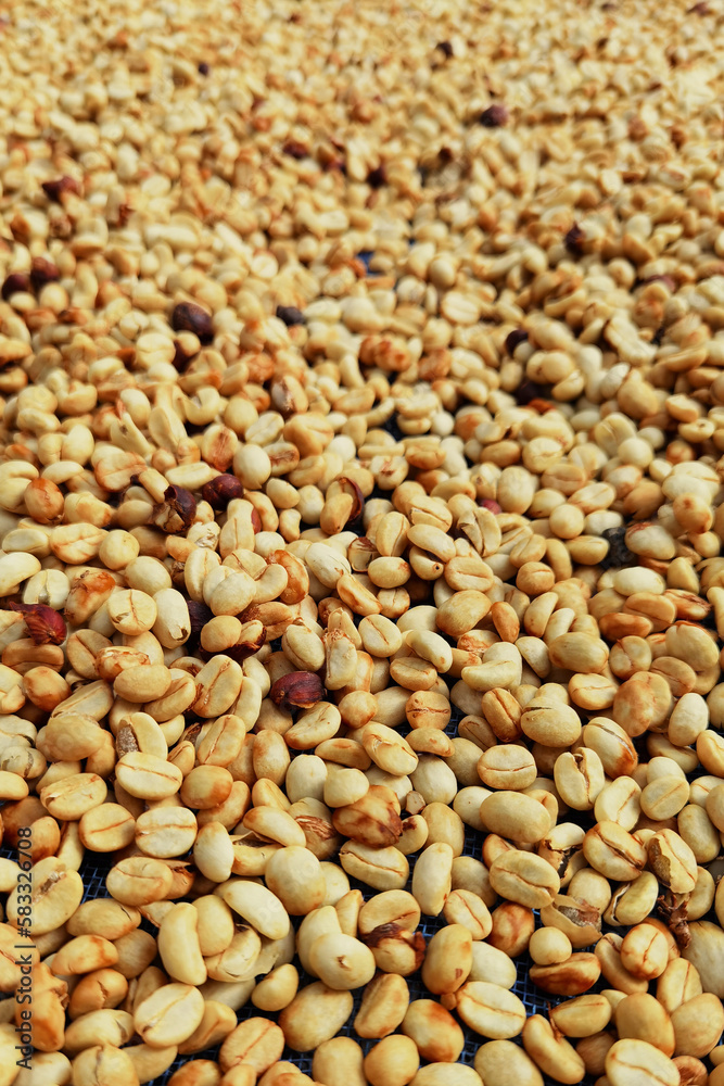 Close up of coffee beans for background Close up of coffee beans for background