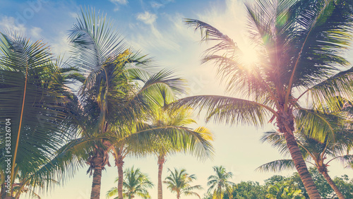 Palm trees on sunny tropical beach
