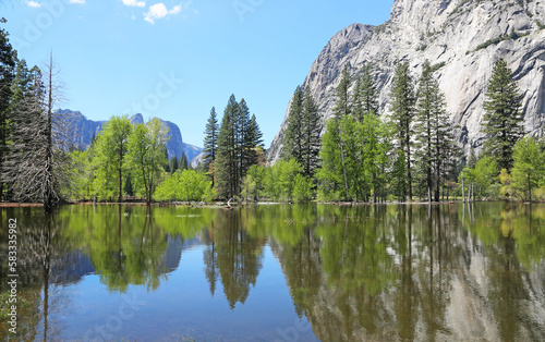 Fototapeta Naklejka Na Ścianę i Meble -  Idyllic landscape - Yosemite NP, California