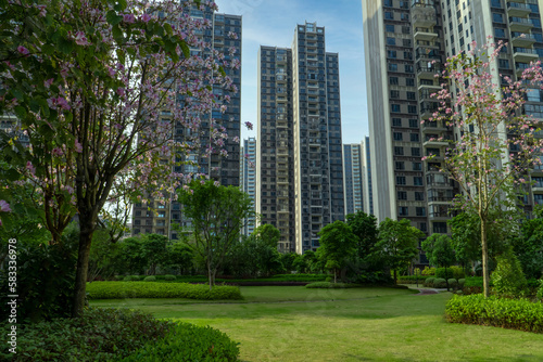 Garden lawn of the building community