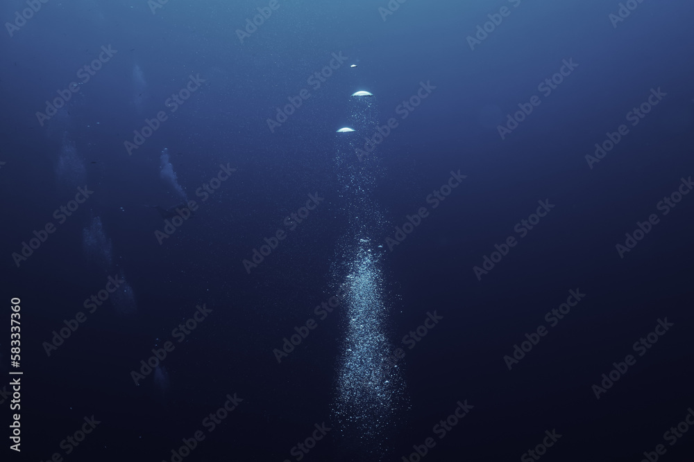Fototapeta premium bubbles under water diving background