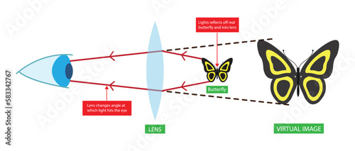 illustration of physics, magnifying lens, Labeled convex lens converges the light rays passing through the lens to a point,  light ray direction and bending through lens, cylindrical