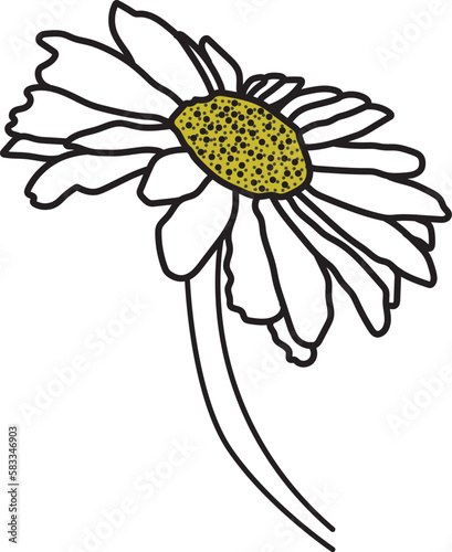 Simple daisy flower line art drawing. Chamomile abstract minimal illustration.
