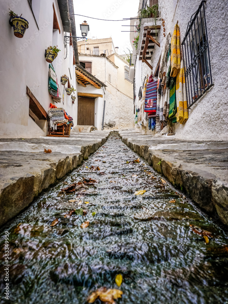 Fototapeta premium street of a town in the Alpujarra of Granada with water running through a canal in the center of the road