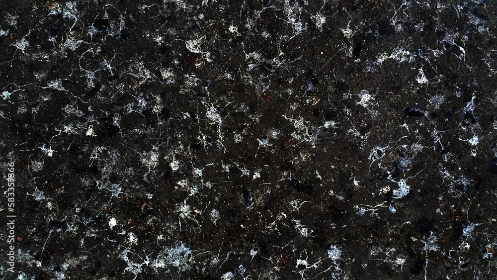 he surface of feces bird many on the cement floor.Sloppy with a white ...