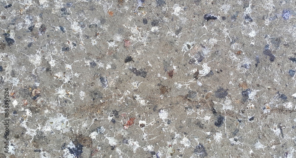 The surface of feces bird many on the cement floor.Sloppy with a white look is a work of art. abstract background.Bird droppings are dangerous because they contain viruses.pattern nature from dung. The surface of feces bird many on the cement floor.Sloppy with a white look is a work of art. abstract background.Bird droppings are dangerous because they contain viruses.pattern nature from dung.