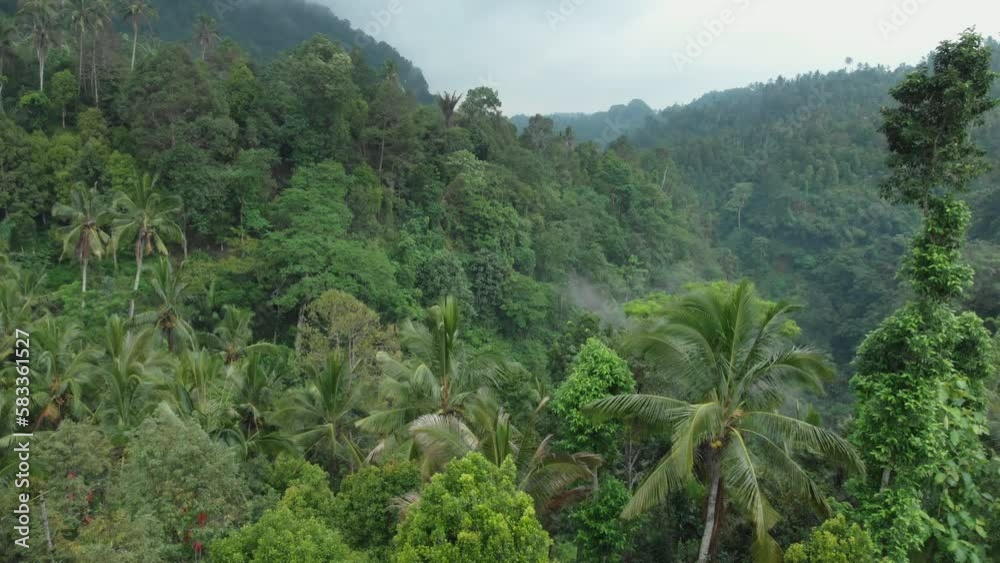Amazing waterfall hidden in tropical rainforest island Bali, Indonesia Amazing waterfall hidden in tropical rainforest island Bali, Indonesia
