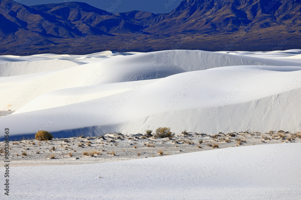 White Sands National Park in New Mexico, USA