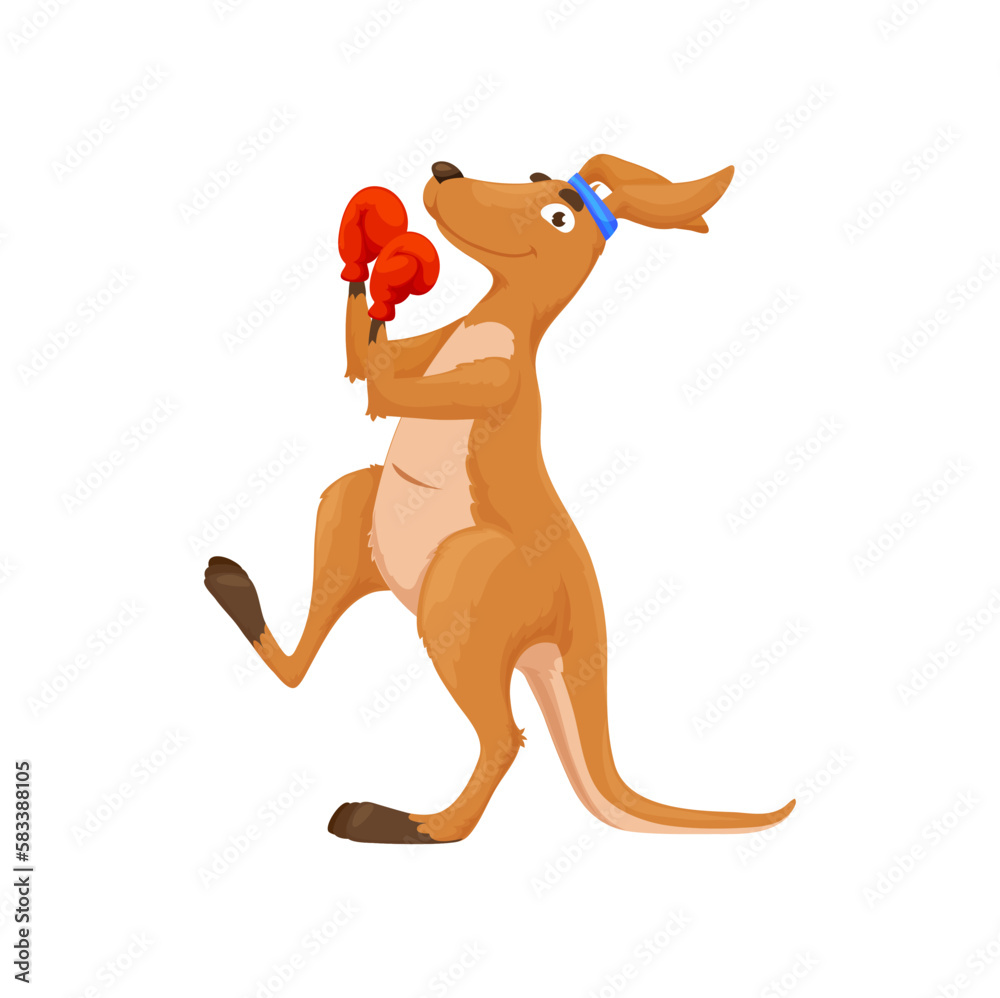 Cartoon boxing kangaroo character. Isolated funny vector australian