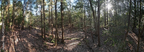 Wallpaper Mural 山陰海岸国立公園　かぶと山の原野　ドローンパノラマ撮影 Torontodigital.ca