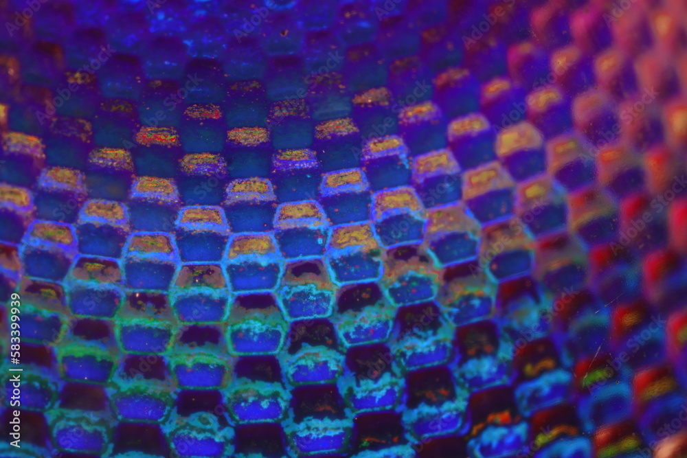 Obraz premium Dicroica