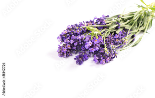 Lavender flower bouquet on white background. French lavender herb