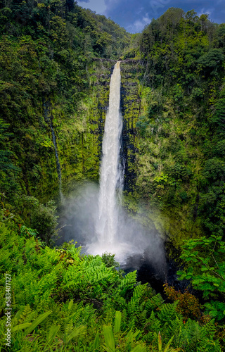 Akaka Falls nestled in a tropical forest on the East coast of the big island of Hawaii