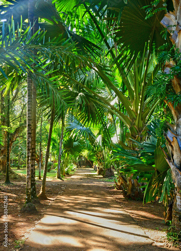 picturesque garden of Pamplemousse in Mauritius Republic © PackShot