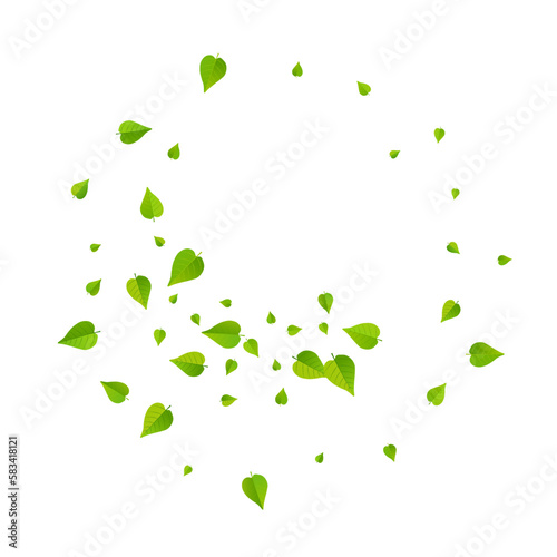 Mint Leaf Herbal Vector White Background