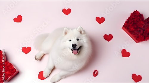 AI Generated, Valentine day background for samoyed, cat, shiba, corgi lover with gift box and various red hearts. flat lay style greeting composition.