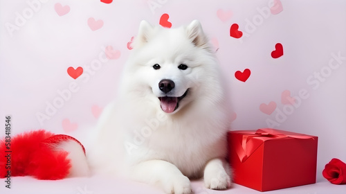 AI Generated, Valentine day background for samoyed, cat, shiba, corgi lover with gift box and various red hearts. flat lay style greeting composition.