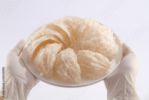 Gloved hands model holding a ceramic dish with edible bird’s nest placed on. Bird’s nest can improve health and boost immune system photo