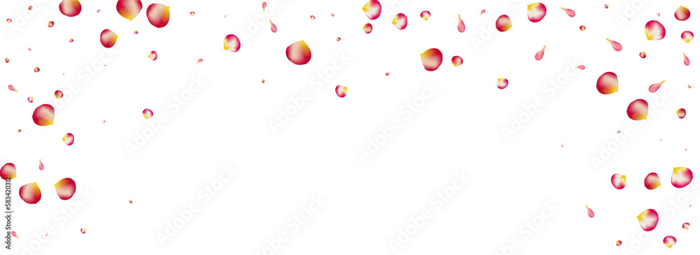 Pink Petal Falling Vector Panoramic White