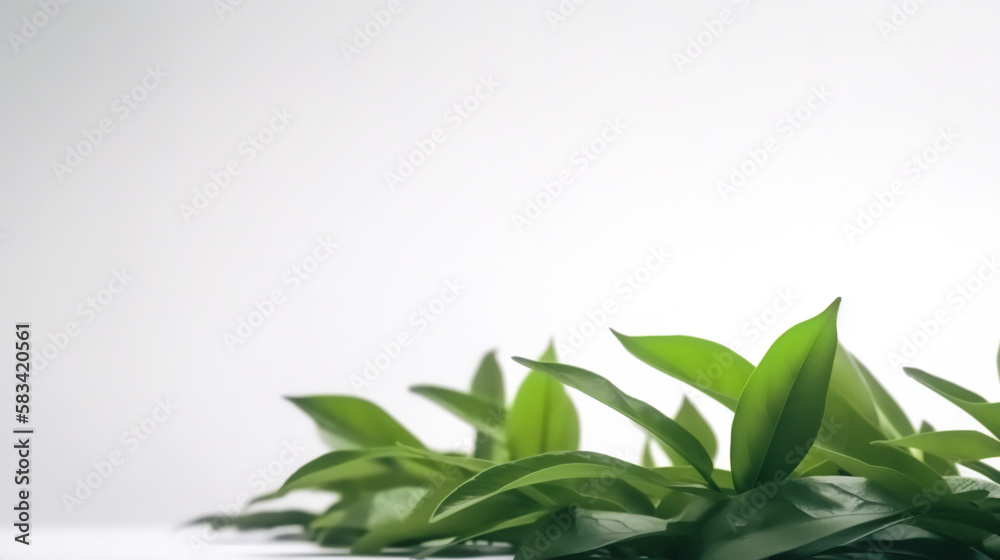 Green Tea Leaf as treatment for uterine fibroids, PCOS, and menopausal symptoms Generative AI 