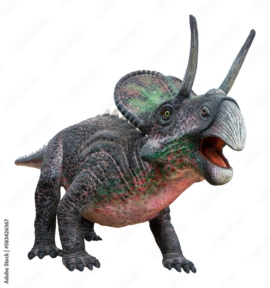 Zuniceratops was a herbivore ceratopsian dinosaur from the mid-Turonian of the Late Cretaceous Period, Zuniceratops with transparent background Zuniceratops was a herbivore ceratopsian dinosaur from the mid-Turonian of the Late Cretaceous Period, Zuniceratops with transparent background