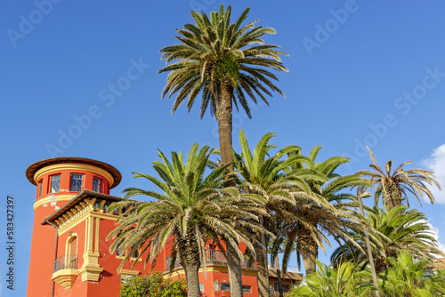 Villa et palmier © patrick