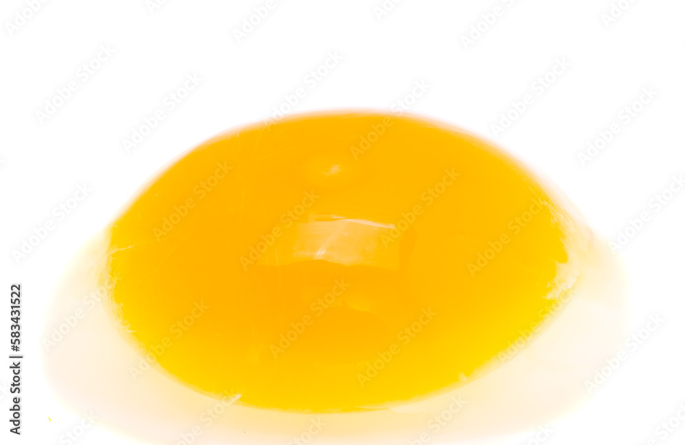 raw egg isolated