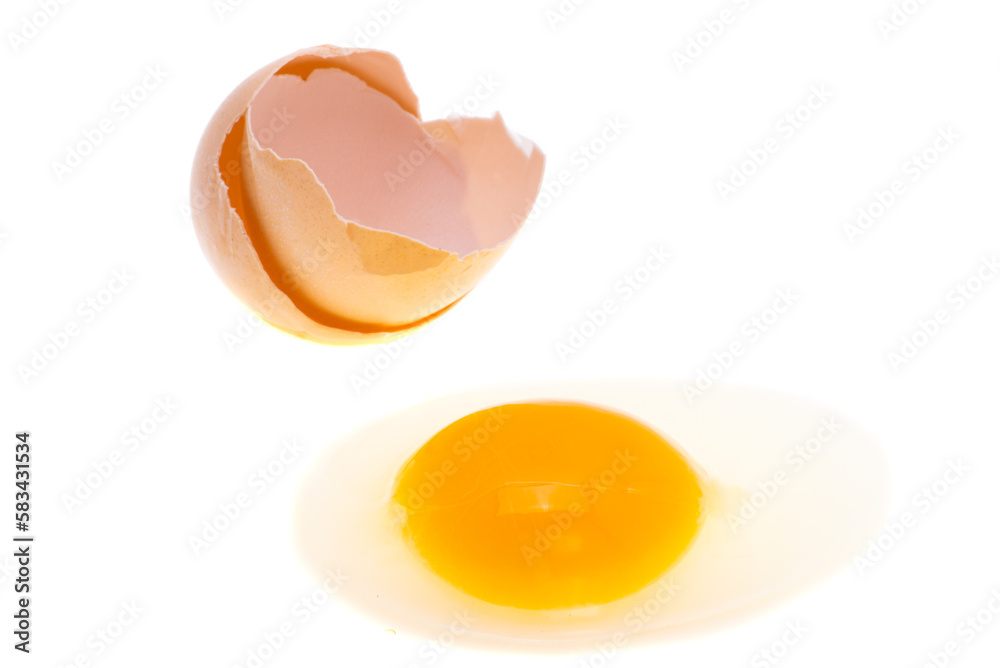 raw egg isolated